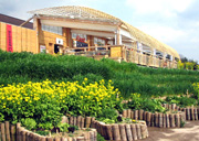 愛地球博での自然食レストラン「ナチュラルフード・カフェ＆オーガニック・ガーデン」の運営